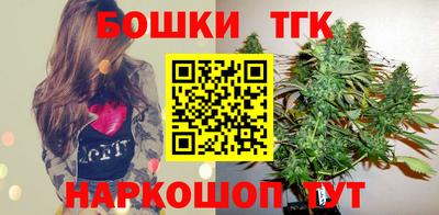 индика Малгобек