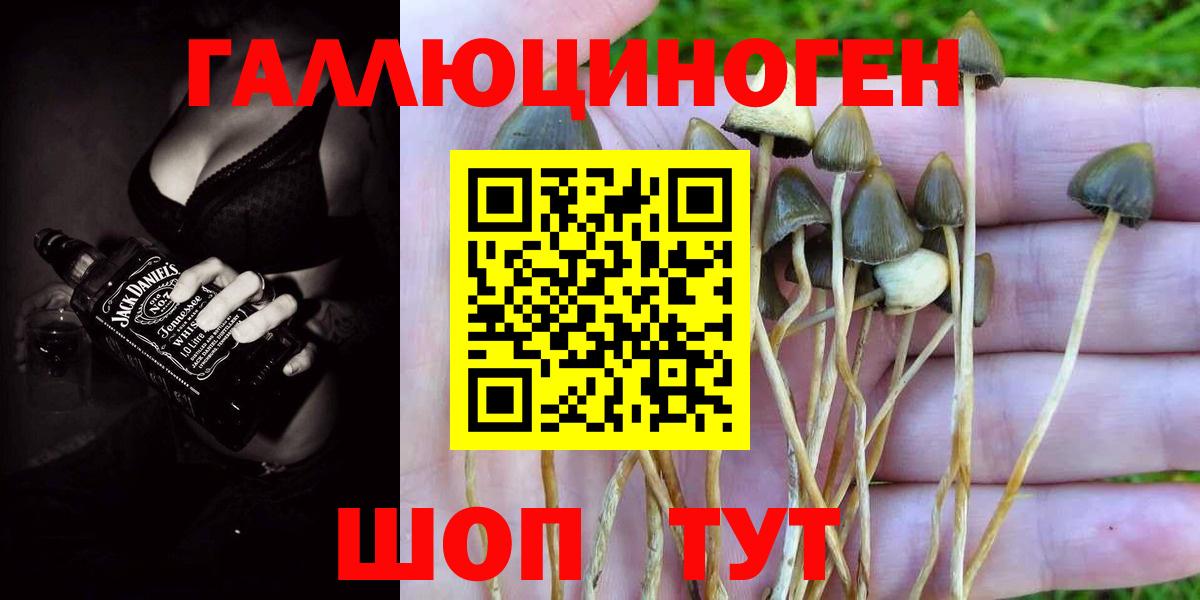 магазин продажи   Псилоцибиновые грибы ЛСД  Вход с VPN  Беслан  Псилоцибиновые грибы Psilocybine cubensis 