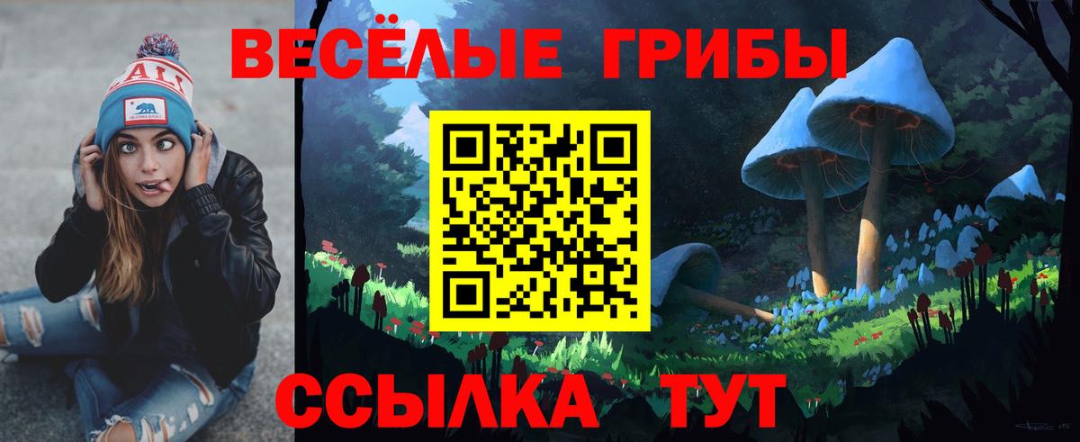 Галлюциногенные грибы прущие грибы Беслан